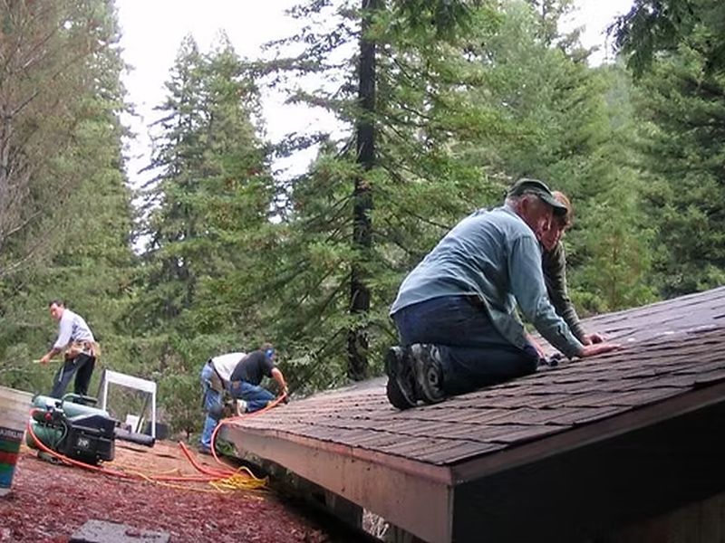 People repairing a rooftop amidst tall trees in a forested area, using tools and equipment for maintenance. No recognizable landmarks or historical buildings visible.