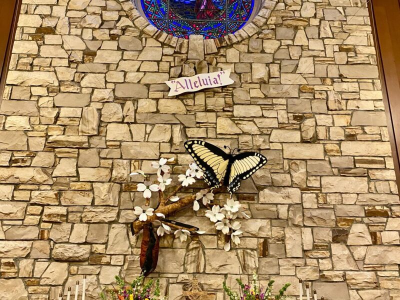 Stained glass window and "Alleluia" sign on stone wall with butterfly decoration, floral arrangement, and vases below; church-like setting.