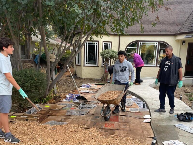 Four people working on a landscaping project with wood chips and wheelbarrow near a house, surrounded by trees and garden.