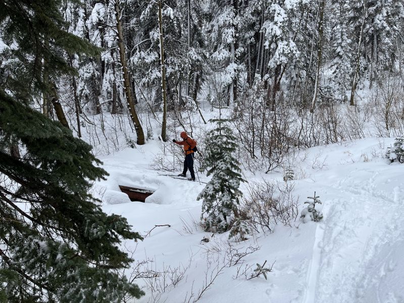 A person wearing an orange jacket skis through a snowy forest, crossing a small wooden bridge amid snow-covered trees and bushes.
